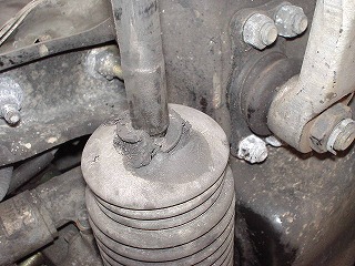 b4aff503.jpg