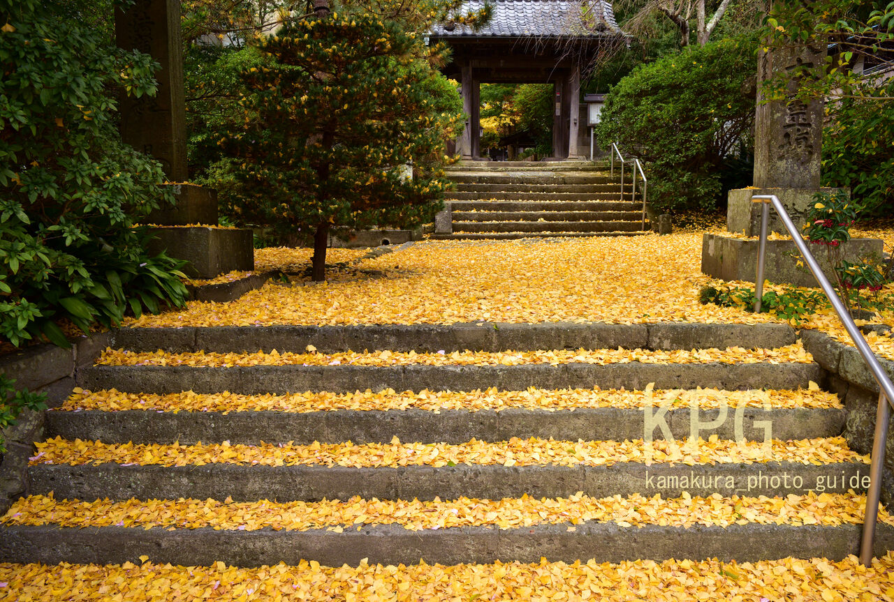 kamakura_photo_guideのblog