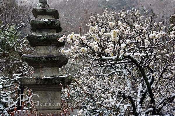 7527-250T 初雪：光即寺