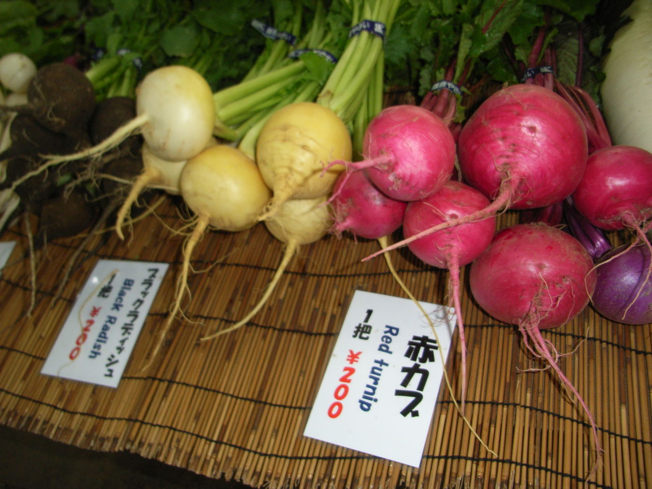 旬の鎌倉野菜 2010年12月 赤カブ 山田雅子の鎌倉料理歳時記 旬の鎌倉野菜 2010年12月 赤カブ 山田雅子の鎌倉料理歳時記