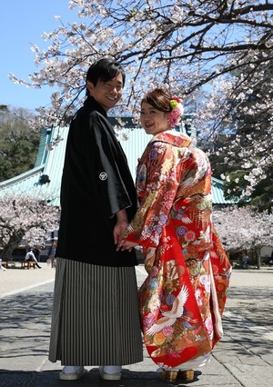 鎌倉光明寺桜　桜　鎌倉さくら