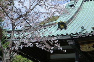 光明寺2