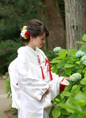 和装前撮り　円覚寺　白無垢ロケ　アジサイ