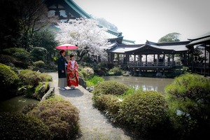 鎌倉光明寺フォトウェディング
