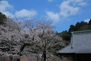 光明寺1