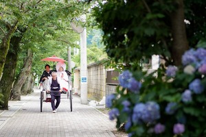 鎌倉宮結婚式 アジサイロケーションフォト 人力車