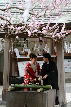 荏柄天神社梅結婚式写真