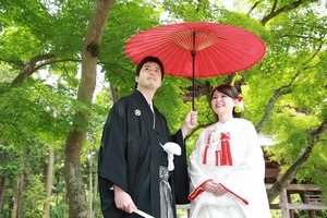 鎌倉円覚寺 新緑 前撮り