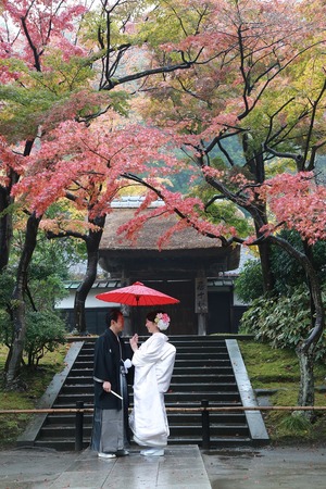 円覚寺紅葉婚礼写真1 (2)
