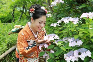 鎌倉振袖ロケーション撮影紫陽花