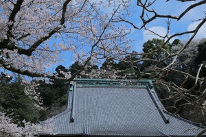 光明寺3