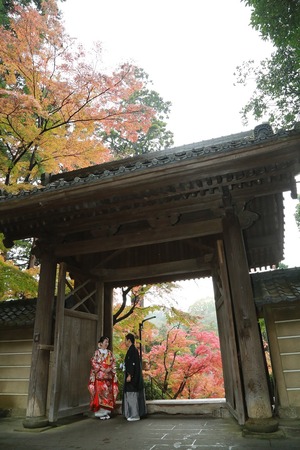 円覚寺紅葉婚礼写真3