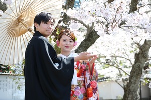 桜フォト　屋外撮影　鎌倉桜