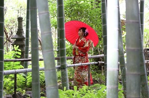 鎌倉竹林庭園 成人式前撮り 屋外撮影 ロケーション写真 出張撮影