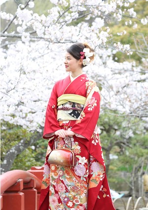 鎌倉 桜 成人式 振袖撮影 ロケーション撮影 記念写真