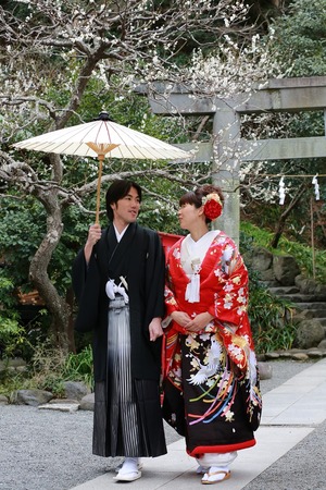 荏柄天神社結婚指揮梅写真