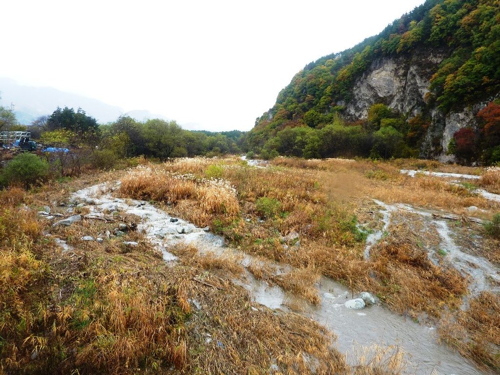 山梨県 歴史文学館 山口素堂資料室 俺は河原の枯れ薄 山梨県 歴史文学館 山口素堂資料室 俺は河原の枯れ薄