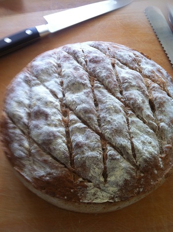 014 - ���ԡ� (41)