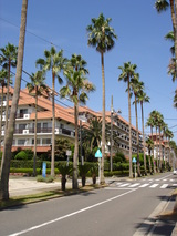 �ޥ꡼������