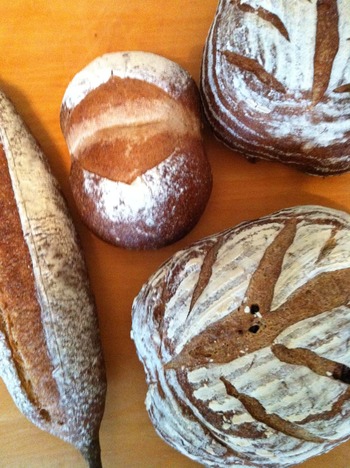 015 - ���ԡ� (3)