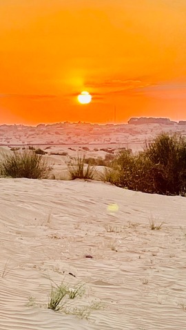 92d8fe250cb5e73817bb34b77da23e16