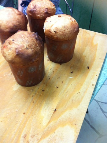 036 - ���ԡ� (10)