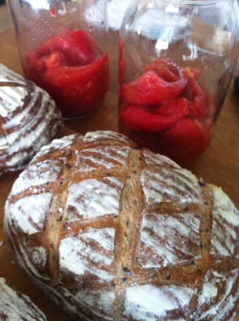 015 - ���ԡ� (24)