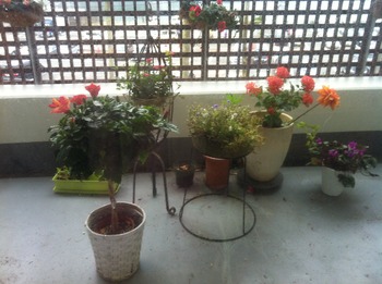 023 - ���ԡ� (18)