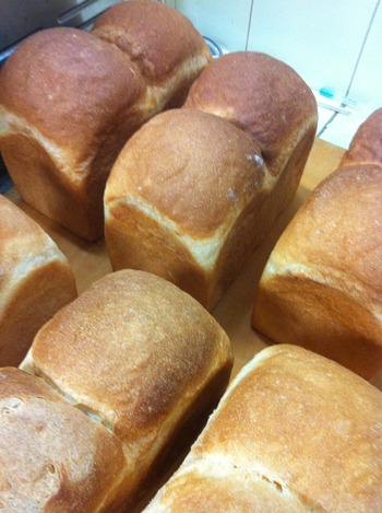 004 - ���ԡ� (72)