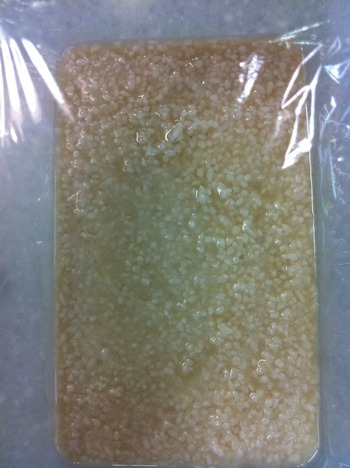 022 - ���ԡ�