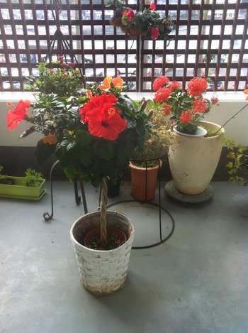 005 - ���ԡ� (61)