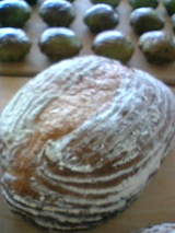 �֥ݥƥȥ֥�åɡ�