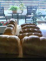 �֥���ȥ꡼�֥�åɣ���