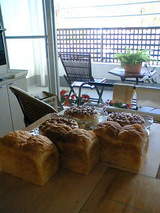 ���̎��������������ގ�������