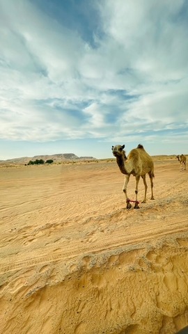 63ec6b20972957f3453070a5ae189e76