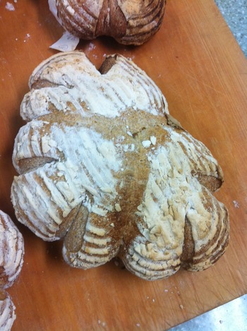 006 - ���ԡ� (26)