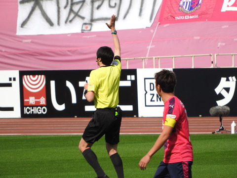 DSCN6535
