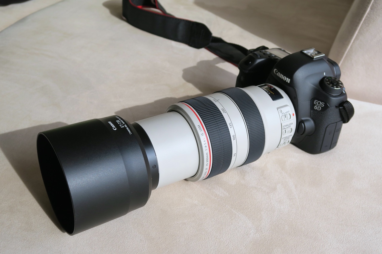 11月9日限定販売✨【超望遠レンズ】Canon EF 75-300mm - カメラ