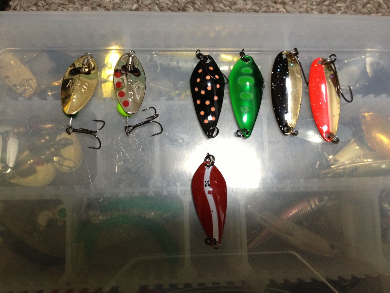 ショア 日誌エピソード3 渓流ルアー編 ショアで釣りしまっせ