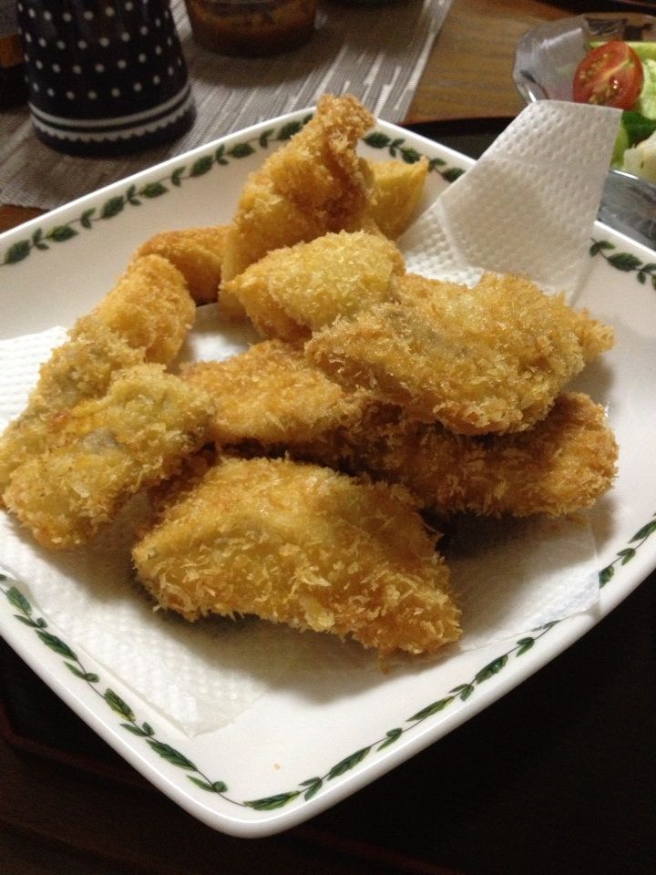 ショア 日誌エピソード28 料理 タックル編 ショアで釣りしまっせ