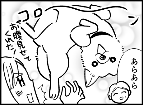 06