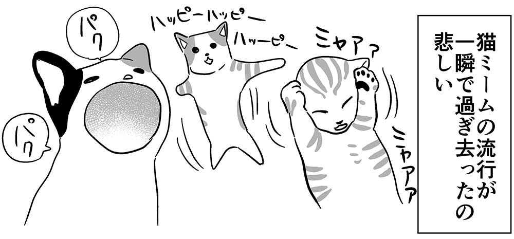 20240617-20240610-猫ミームの流行終わっちゃって悲しい【なんでもない】_01