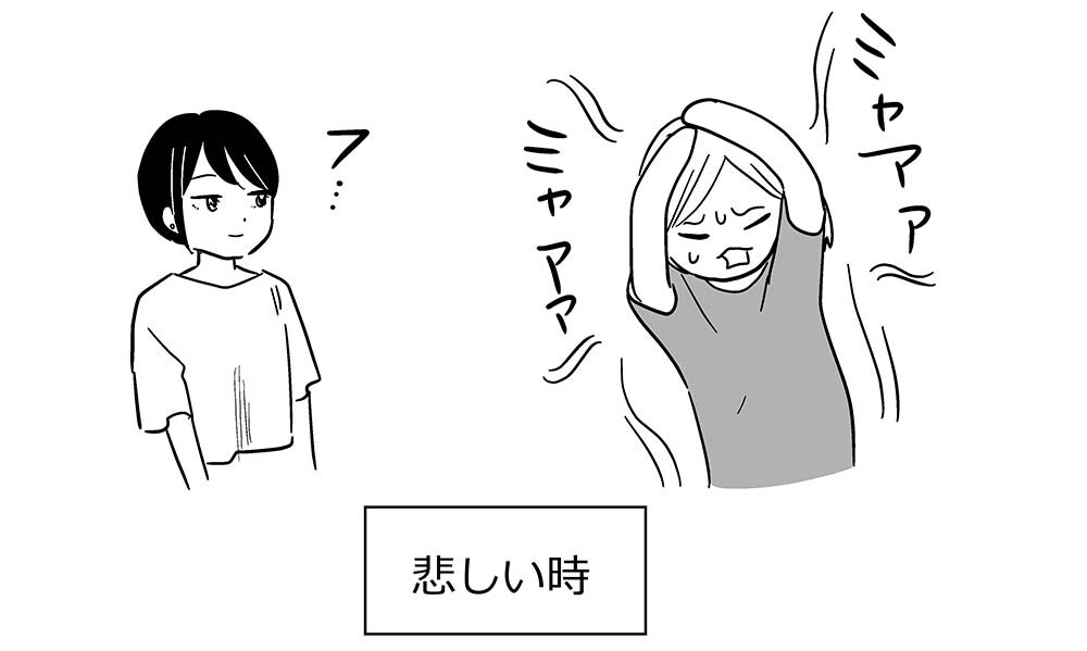 20240617-20240610-猫ミームの流行終わっちゃって悲しい【なんでもない】_03