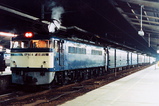 253d77e1.jpg