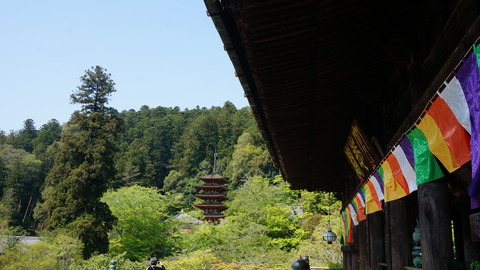 DSC01786