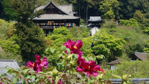 DSC01820