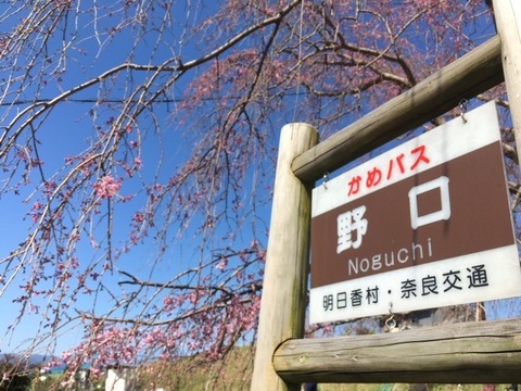 野口バス停3.23