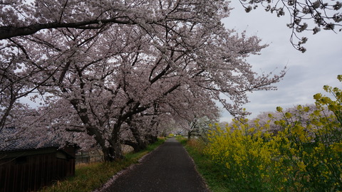 DSC01490
