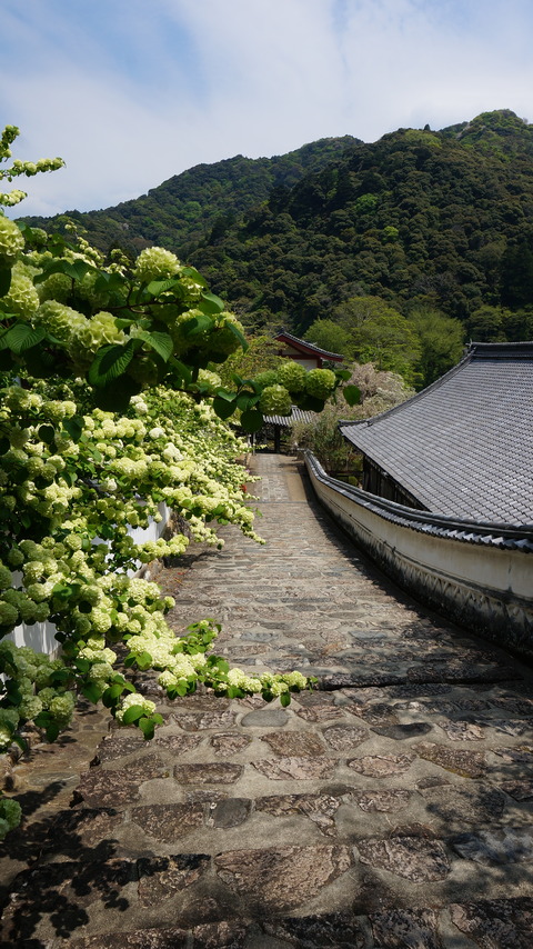 DSC01833