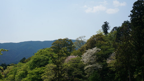 DSC01802